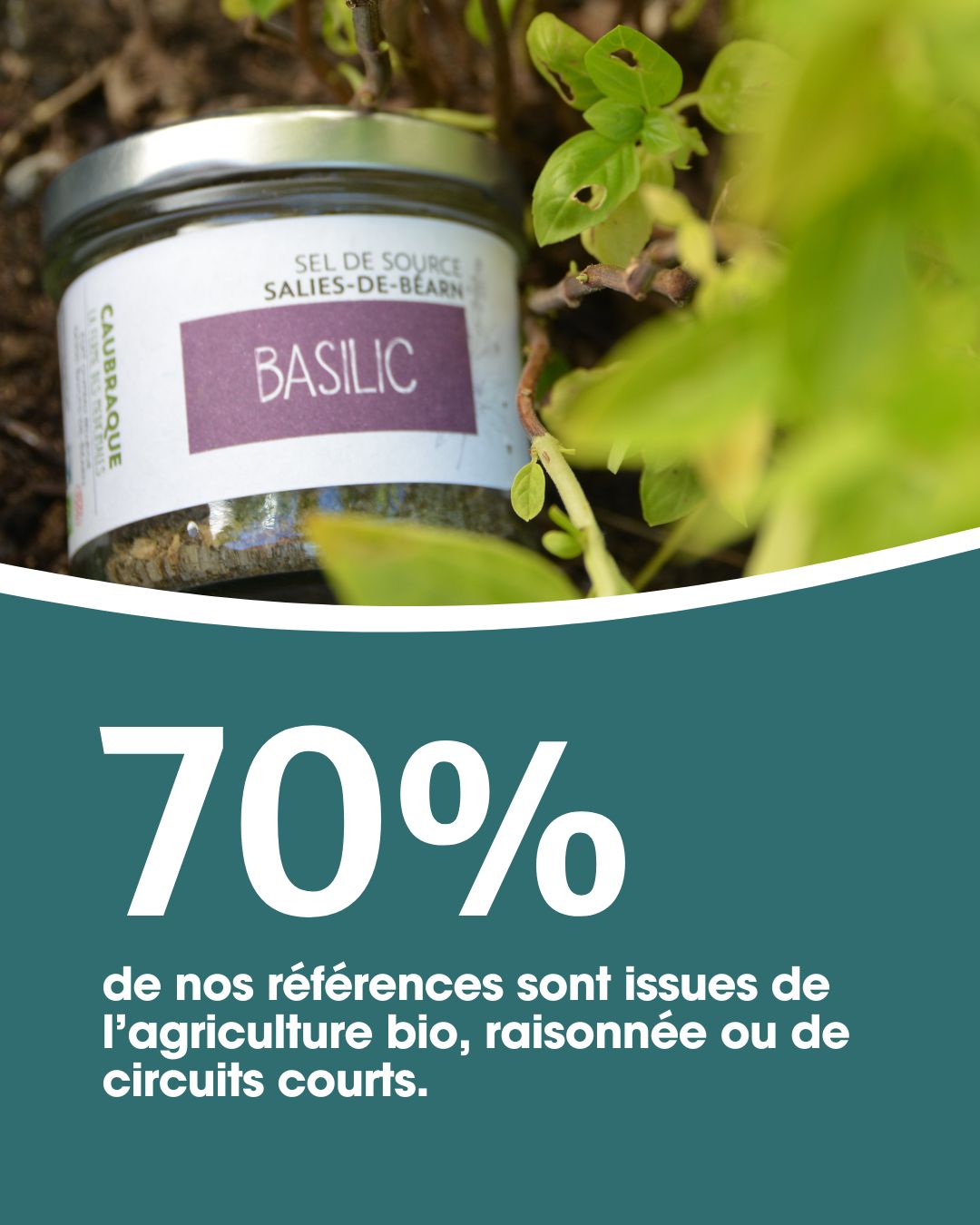 Produits bio infographie